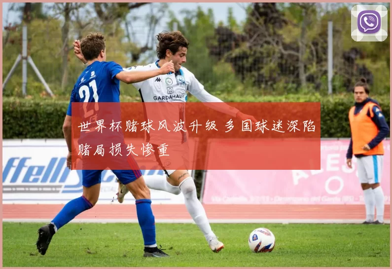 世界杯赌球风波升级 多国球迷深陷赌局损失惨重