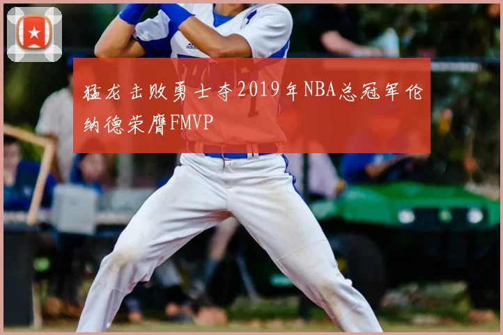 猛龙击败勇士夺2019年NBA总冠军伦纳德荣膺FMVP