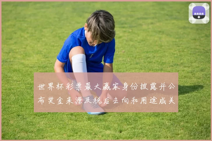 世界杯彩票最大赢家身份披露并公布奖金来源及税后去向和用途成关注点