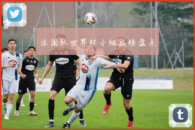 法国队世界杯小组成绩盘点