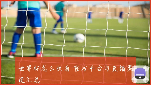 世界杯怎么收看 官方平台与直播渠道汇总