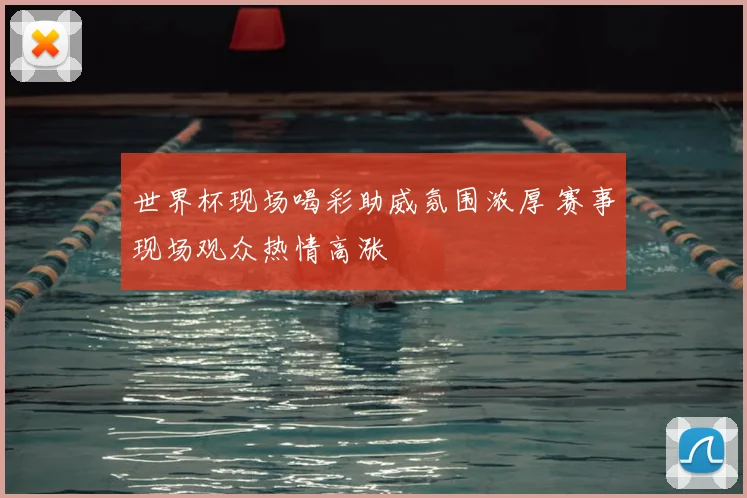 世界杯现场喝彩助威氛围浓厚 赛事现场观众热情高涨