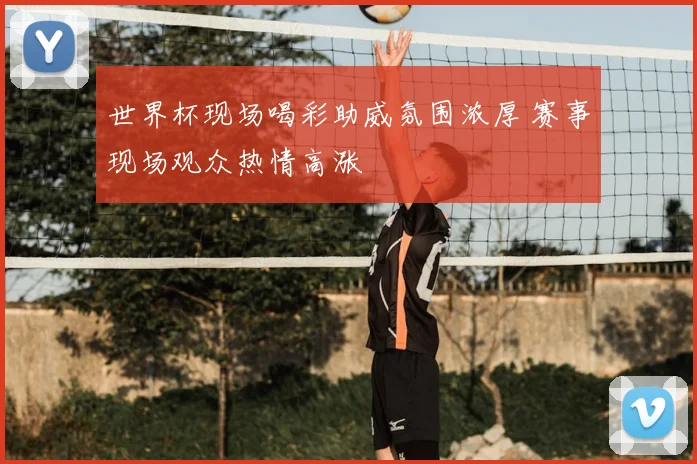 世界杯现场喝彩助威氛围浓厚 赛事现场观众热情高涨